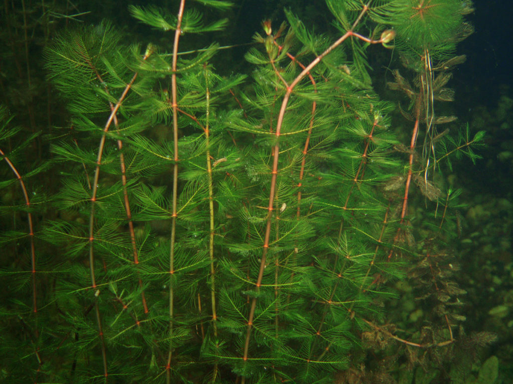 P9080031